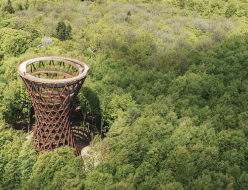 Nuovi habitat naturali e urbani